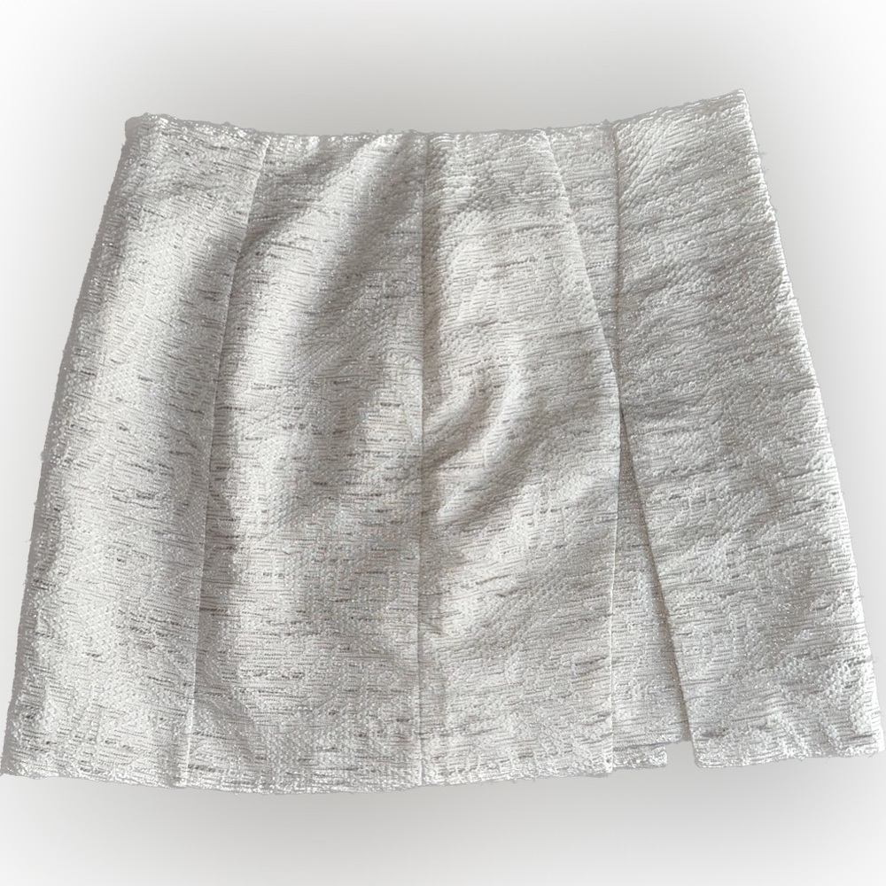 Pleated Skirt with Gold Shine